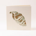 Greeting card "Snail shell"