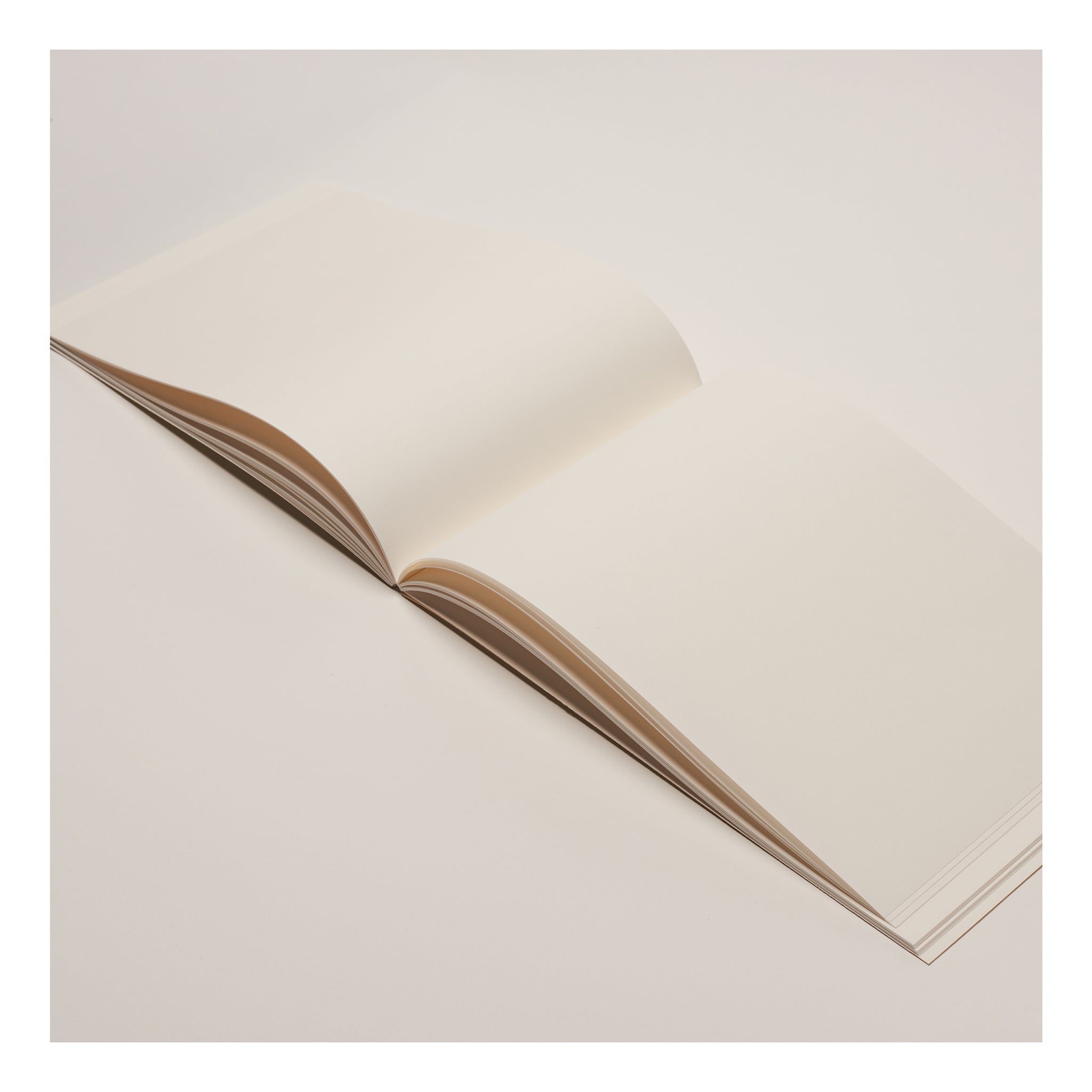 Notebook "Elephant"